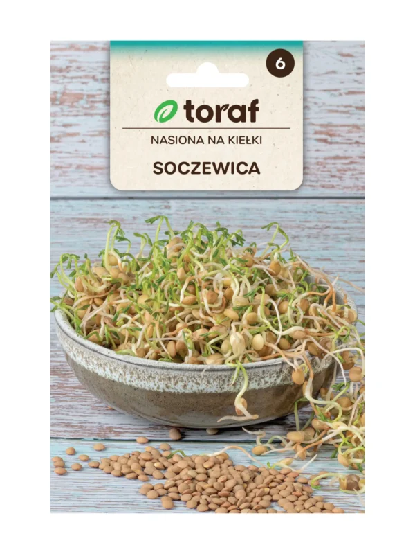 Čočka – semínka na klíčení 20g Čočka – semínka na klíčení 20g