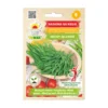 mlady-jecmen-seminka-na-kliceni-30g-baleni2 Mladý Ječmen – semínka na klíčení 30g